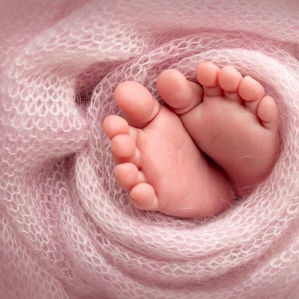 382218499_332535469294947_8993552260493161686_n